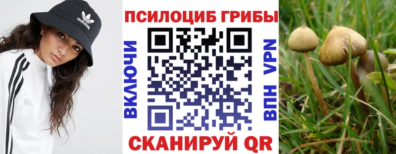 Псилоцибиновые грибы Psilocybine cubensis  Дудинка 