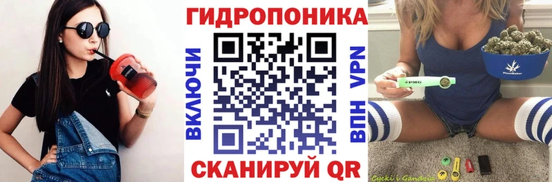 Канабис сатива Дудинка